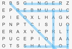 Word Search